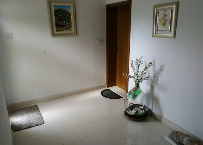 Filip Vedran 斯普利特